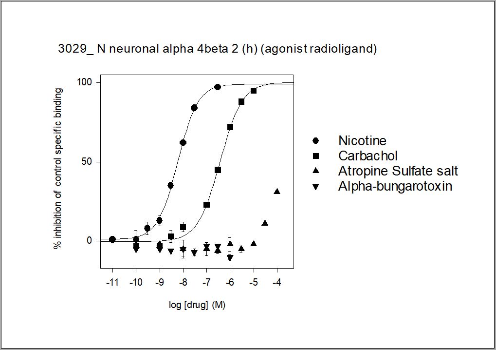 currentViewItem.Name